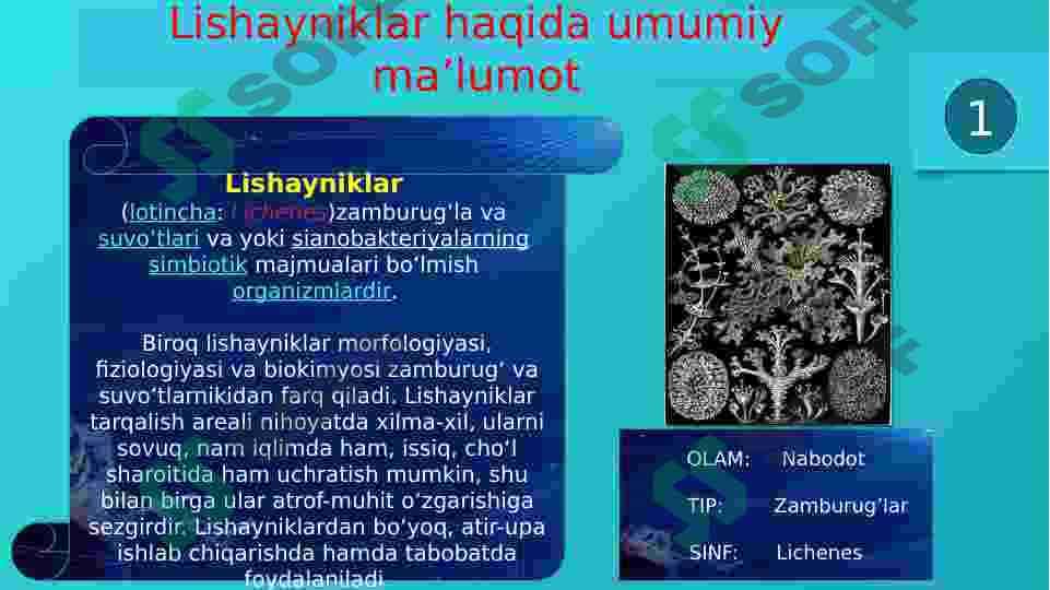 LISHAYNIKLAR bo'limi 3
