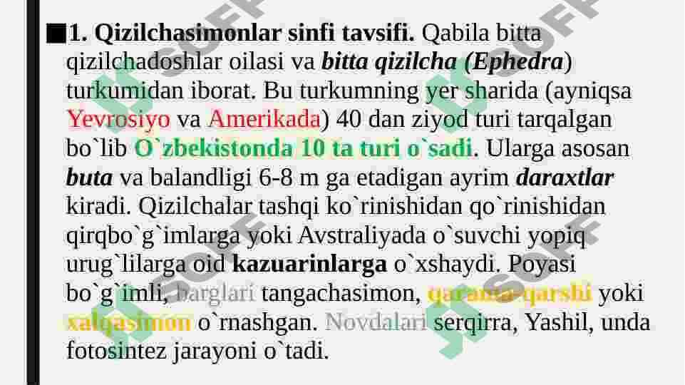 Qizilchadoshlar oilasi va ularning dorivorlik hususiyati 3