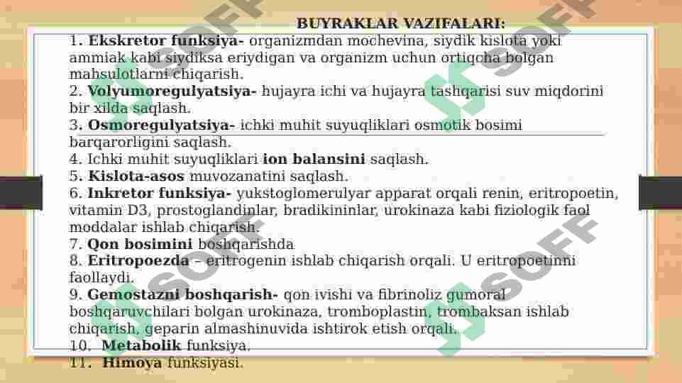 AYIRUV TIZIMINING FIZIOLOGIYASI BUYRAKLAR FUNKSIYASI 3