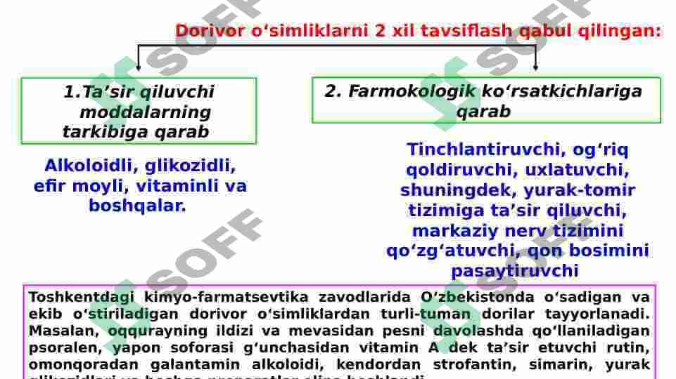 Dorivor o’simliklar va ulardan foydalanish 3