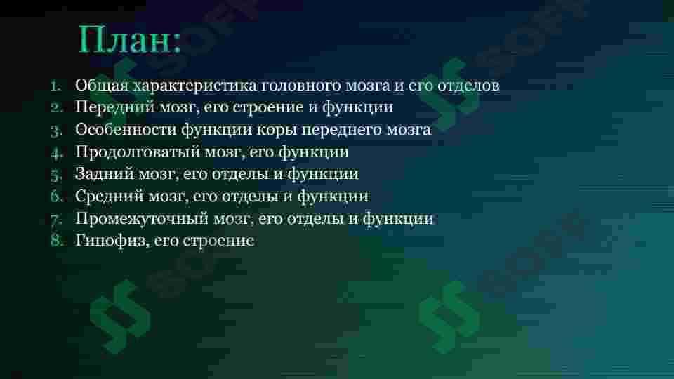 Отделы головного мозга 3