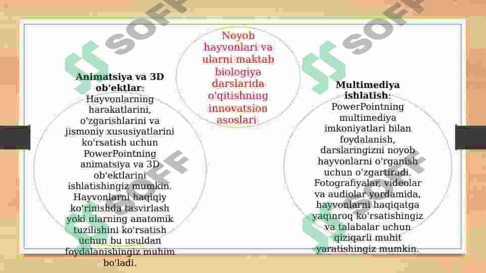 Noyob hayvonlar 3