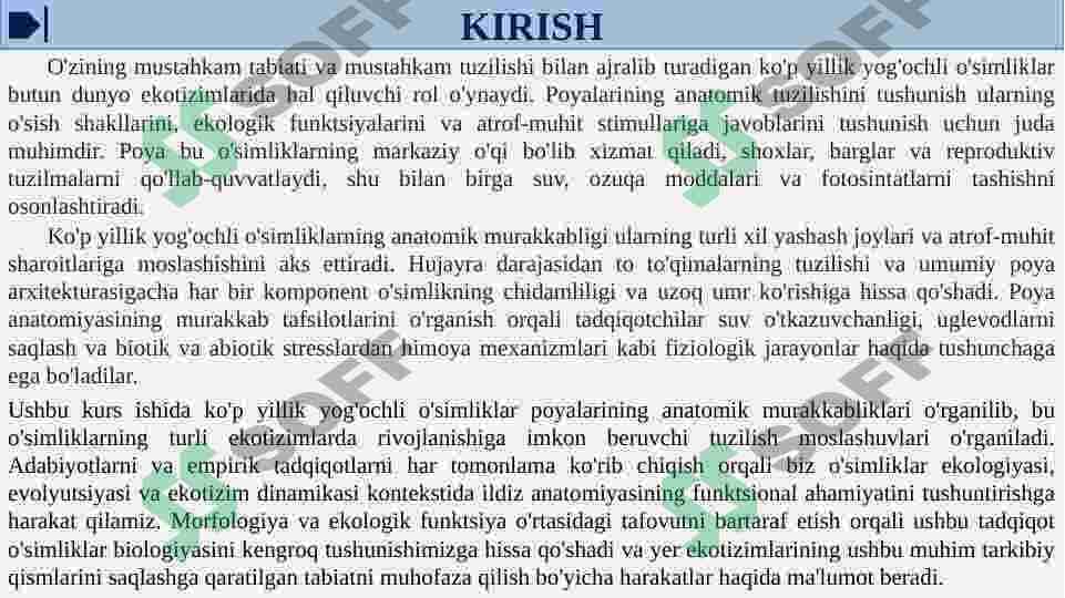 KO'P YILLIK DARAXTSIMON O'SIMLIKLAR POYASINING ANATOMIK TUZULISHI 3