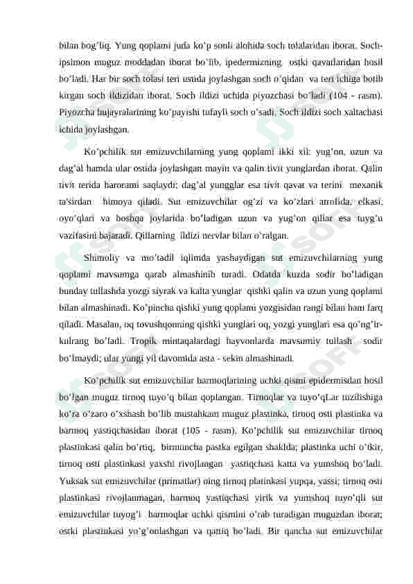 Sutemizuvchilarning  tashqi tuzilishi va anatomiyasi 3