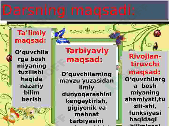 Bosh miyaning tuzilishi va funksiyasi 3