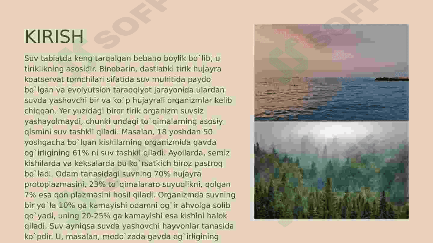Suv resurslarini muhofaza qilish va ulardan samarali foydalanish 3