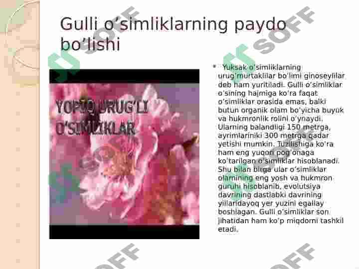 Gulli oʻsimliklarning xilma-xilligi  va tarqalishi 3
