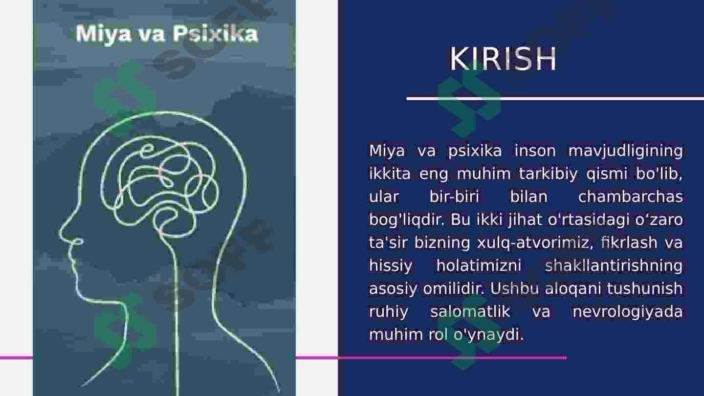 Miya va psixikaning o’zaro munosabat muammolari 3