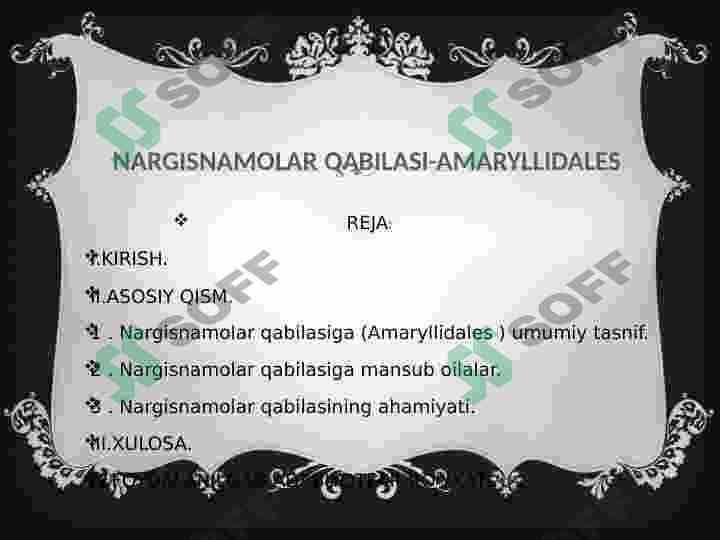 Nargisnamolar qabilasi 3