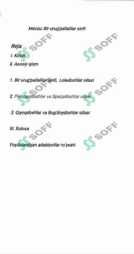 Bir urugʻ pallalilar sinfi 3