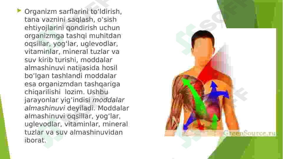 Metabolizm jarayonida energiya hosil boʻlishi va sarflanishi 3