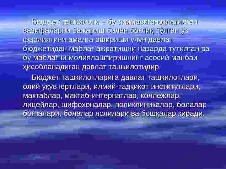 Бюджет ташкилотларида давлат бюджети ижросининг бухгалтерия ҳисоби 3