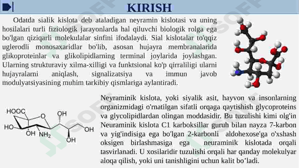 Neyramin kislota va uning xosilalarining tuzulishi va biologik xossalari.Sial kislotalar 3