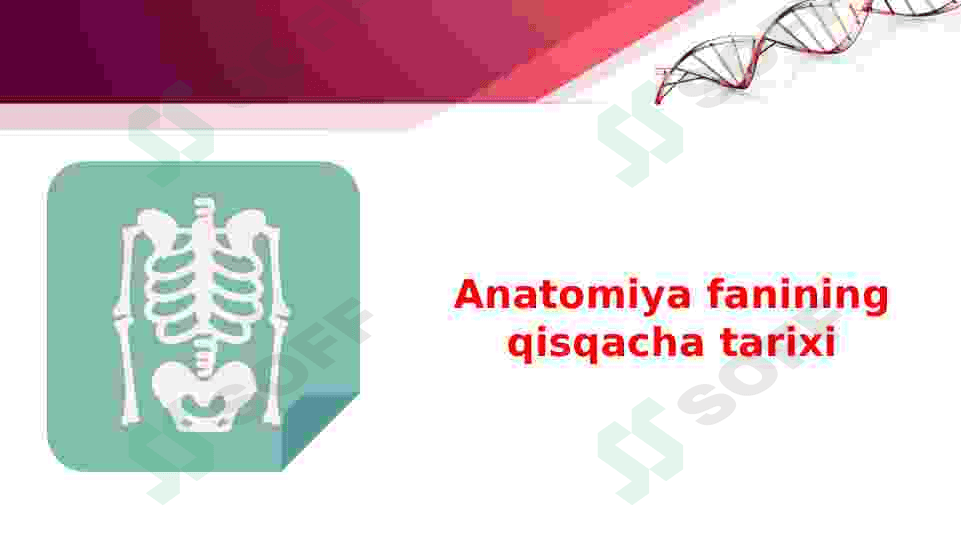 Odam anatomiyasi va fiziologiyasi. 3