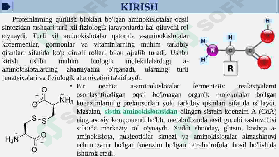 α - Aminokislotalar - kofermentlar, gormonlar va vitaminlarning tarkibiy qismi sifatida 3