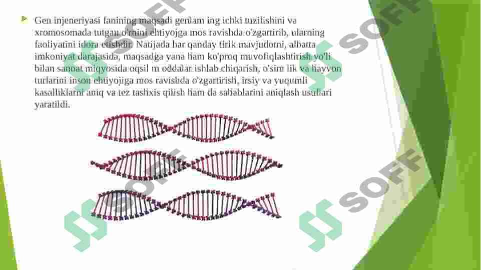 GEN INJENERYASI VA UNING MEDITSINA AMALIYOTIDA QO`LLANILISHI 3