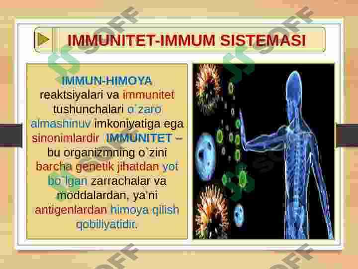 ORGANIZM IMMUM SISTEMASI 3