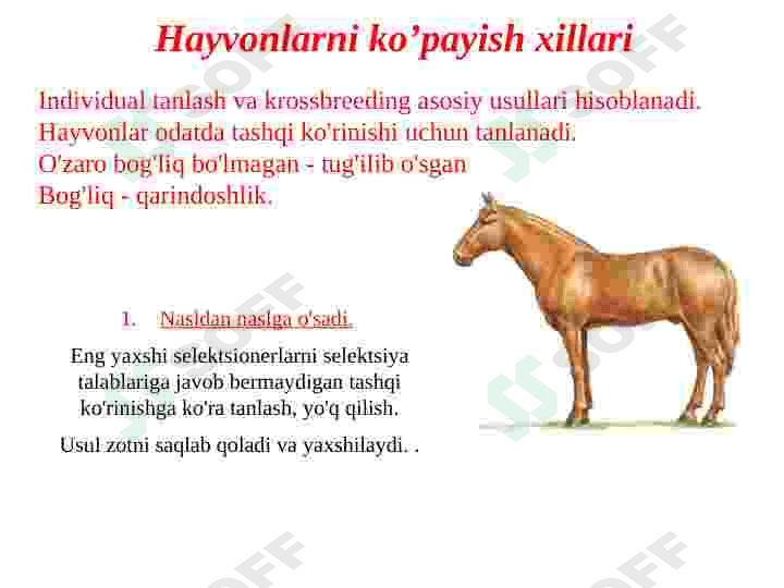 Hayvonlarning ko’payish xillari va undan seleksiyaga foydalanish 3