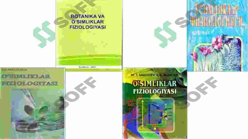 O`zbek olimlarining bugungi kunda O`simliklar fiziologiyasi sohasida oib borayotgan ilmiy tadqiqot ishlari va ularning natijalarini tahlil qilish 3