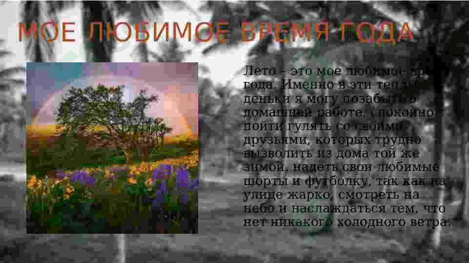 Моё любимое время года 3