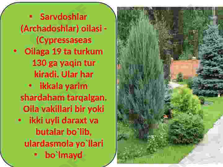 Sarvnamolar qabilasi 3
