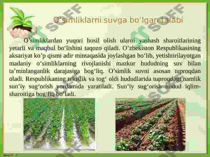 O’simliklarni sug’orish fiziologiyasi va istiqbollari 3