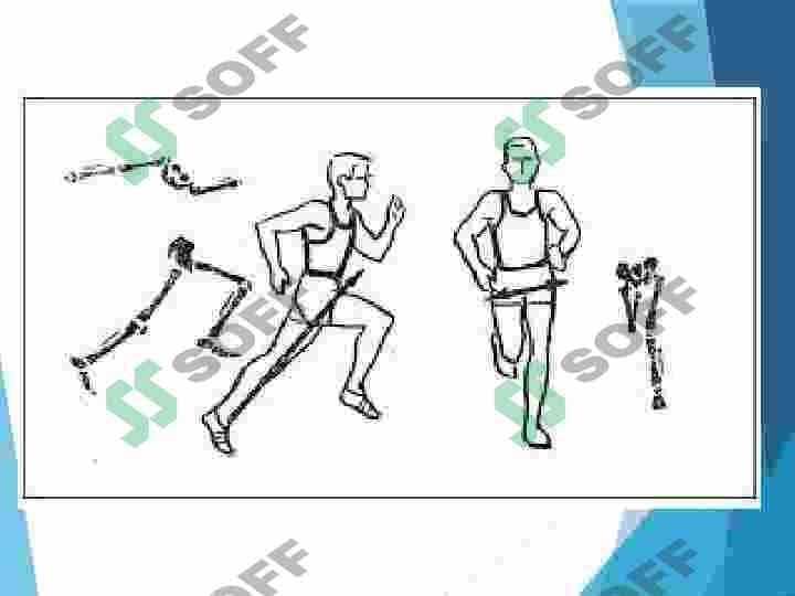 Yengil atletika: Qisqa masofaga yugurish texnikasini o'rgatish 3
