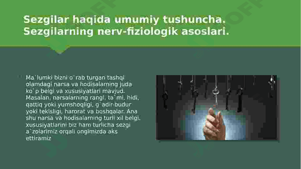 Sezgilarning tasnifi,sezgilarning turlari,sezgi sohasidagi qonuniyatlar 3