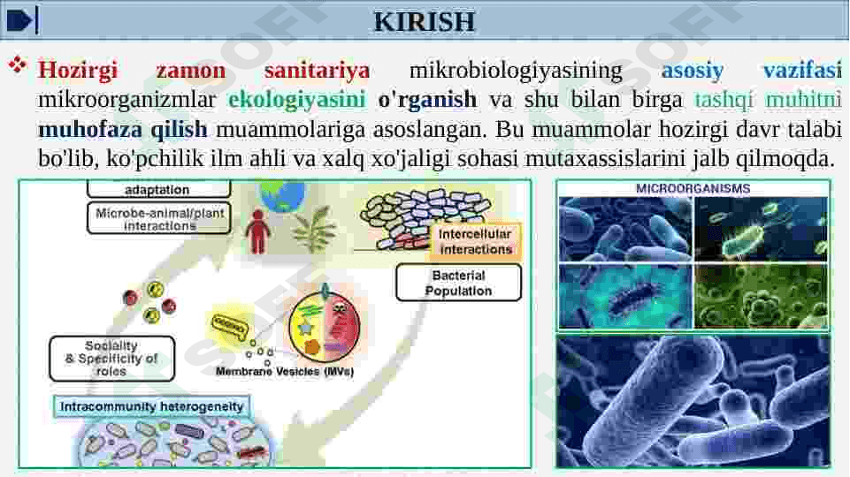 MIKROORGANIZMLAR EKOLOGIYASISUV, HAVO,TUPROQ MIKROFLORASI 3