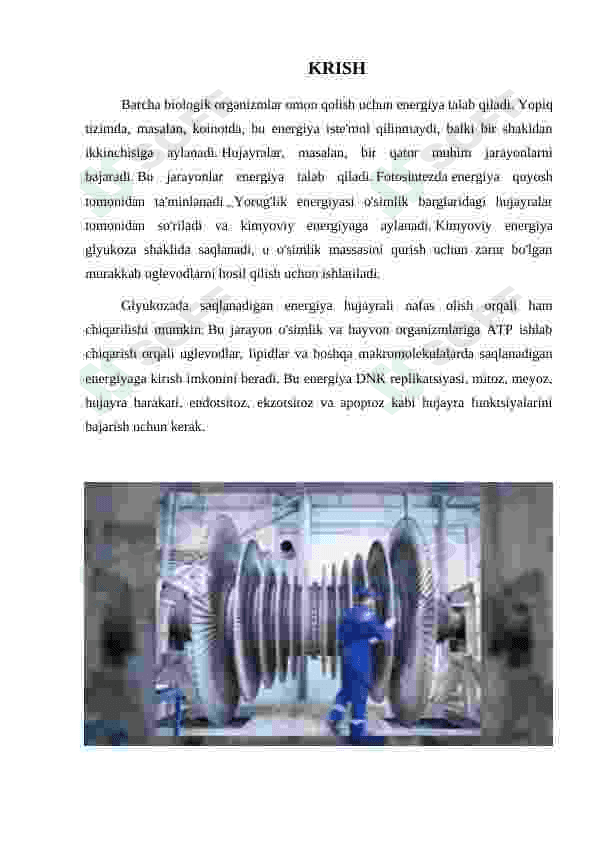 Tirik organizmlar uchun “Termodinamikaning birinchi qonuni 3