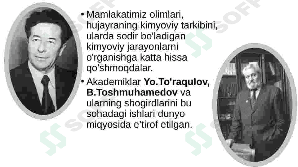 Hujayraning kimyoviy tarkibi 3