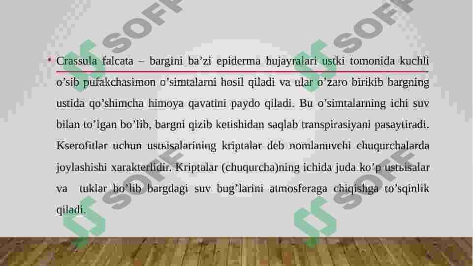 Oʻsimliklarning qurgʻoqchilikga chidamligi 3