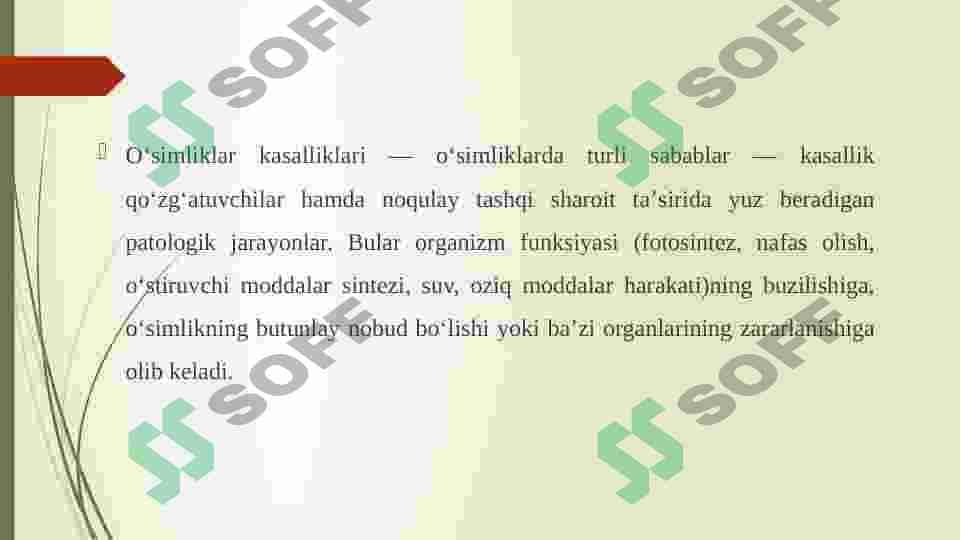 Kasal oʻsimliklar fiziologiyasi 3