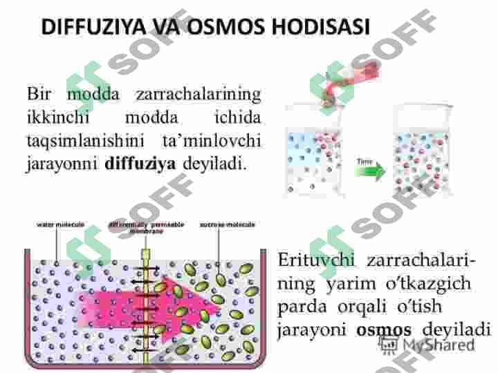 Diffuziya va osmos, turgor va plazmoliz, hujayraning so’rish kuchi 3