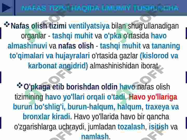 NAFAS TIZIMI FILOGENEZI VA BUZULISHLARI 3