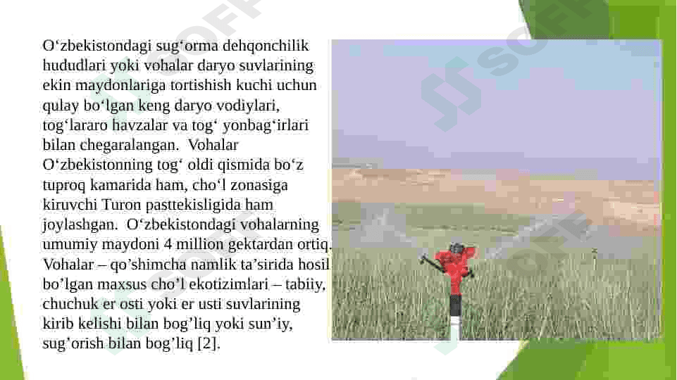 Tuproqlar geografiyasi faniga R. Q. Kuzievning qo’shgan hissasi 3