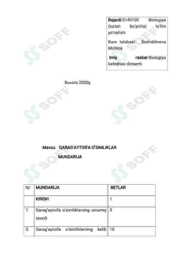 Qaragʻaytoifa oʻsimliklar 3