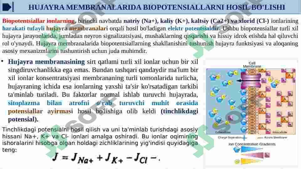 HUJAYRA MEMBRANALARIDA BIOPOTENSIALLARNI HOSIL BO'LISHI. YURAK QISQARISHIDA HOSIL BO'LGAN BIOPOTENSIALLARNI QAYD ETISH. ELEKTROKARDIOGRAFIYA. ELEKTROGRAMMALAR. EYNTXOVENNNING TARMOQLANISH NAZARIYASI 3