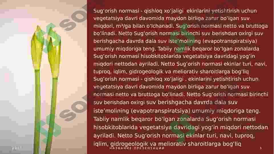 O’simliklarni sug’orish fiziologiyasi va istiqbollari 3