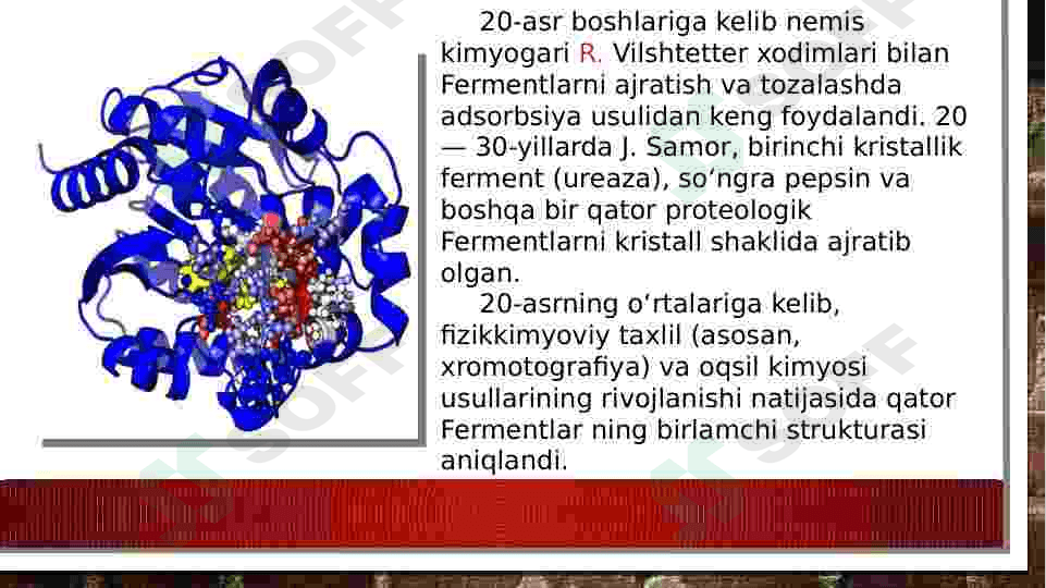 FERMENTLAR.ULARNING BIOLOGIK XOSSALARI 3