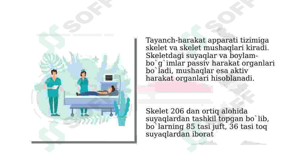 YOSH FIZIOLOGIYASI VA GIGIENASI 3