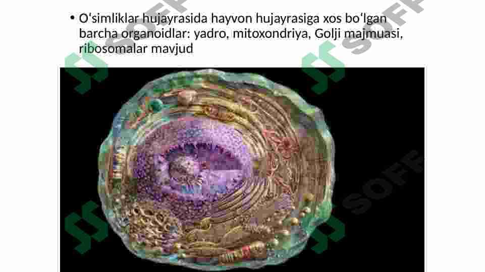 O‘simliklar hujayrasiga hos qo‘zgatishlar va ularni uzatish mexanizmlari 3