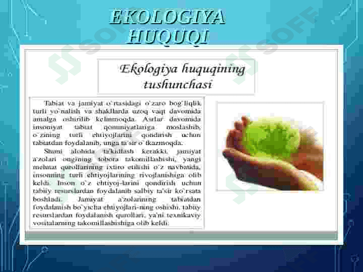 EKOLOGIYA VA HUQUQ. TABIAT MUHOFAZASINING HUQUQIY ASOSLARI, UNING MAQSAD VA VAZIFALARI 3