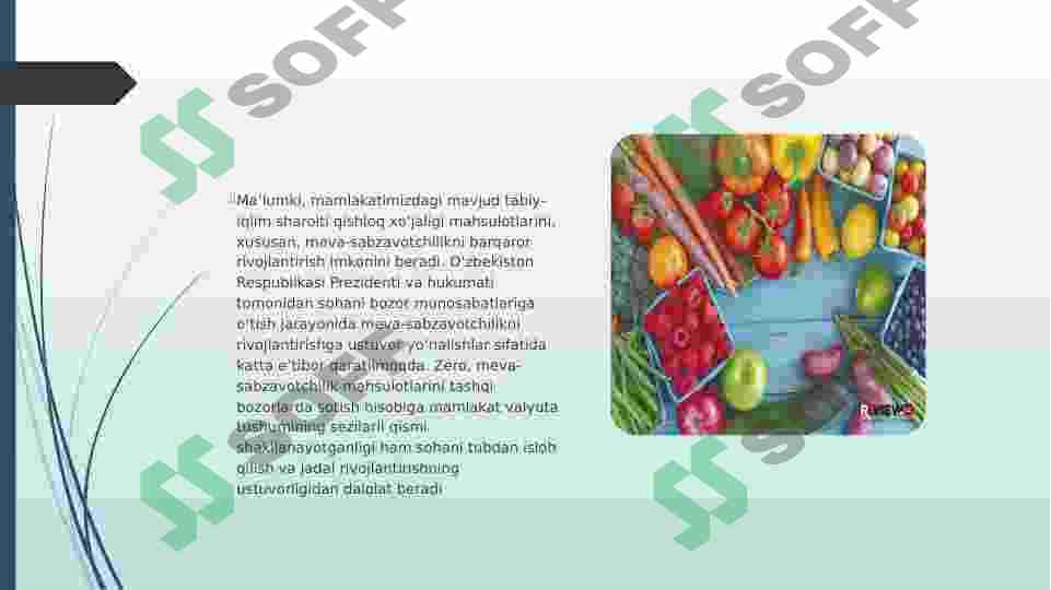 Meva sabzavotlarning logistik ta'minotini ishlab chiqarish 3