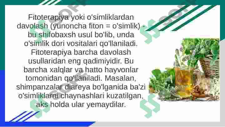Qon aylanish tizimiga taʼsir qiluvchi dorivor oʻsimliklar 3