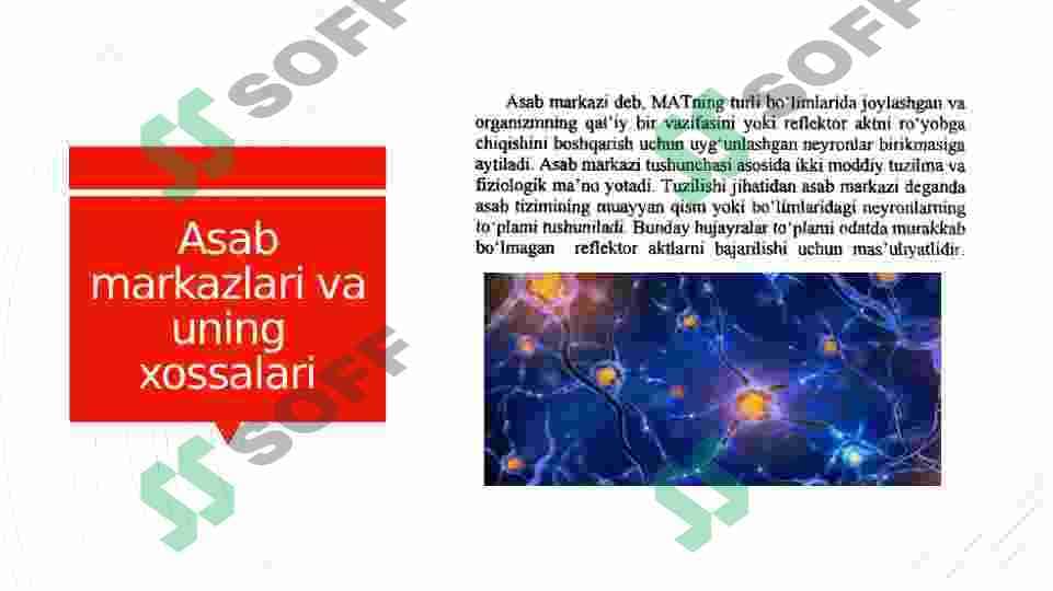 ASAB MARKAZLARI. ASAB MARKA ZLARINING XOSSALARI.  MARKAZIY NERV TIZIMINING REFLEKTOR TAMOYILI. ORQA MIYA, UZUNCHOQ MIYA VA VEGETATIV NERV TIZIMI 3