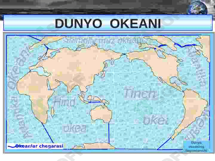 dunyo okeani biomlarining turlari 3