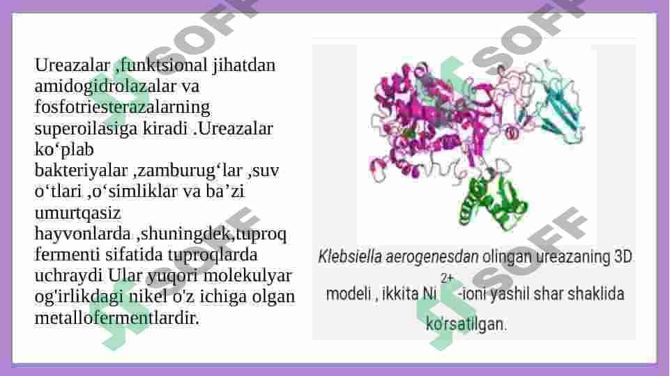 Ureaza fermentining oziq-ovqat sanoatida qo’llanilishi 3