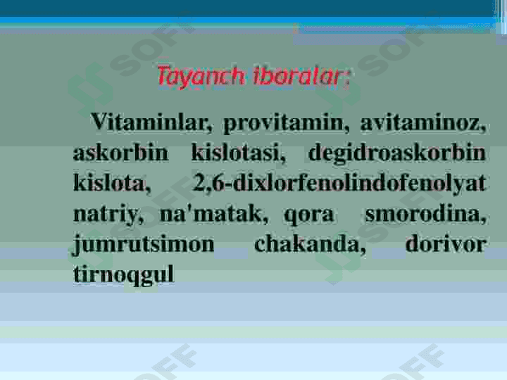 Tarkibida vitaminlar boʻlgan dorivor oʻsimliklar 3