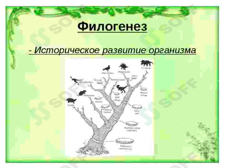 Biologiya fanining dolzarb muamolari 3